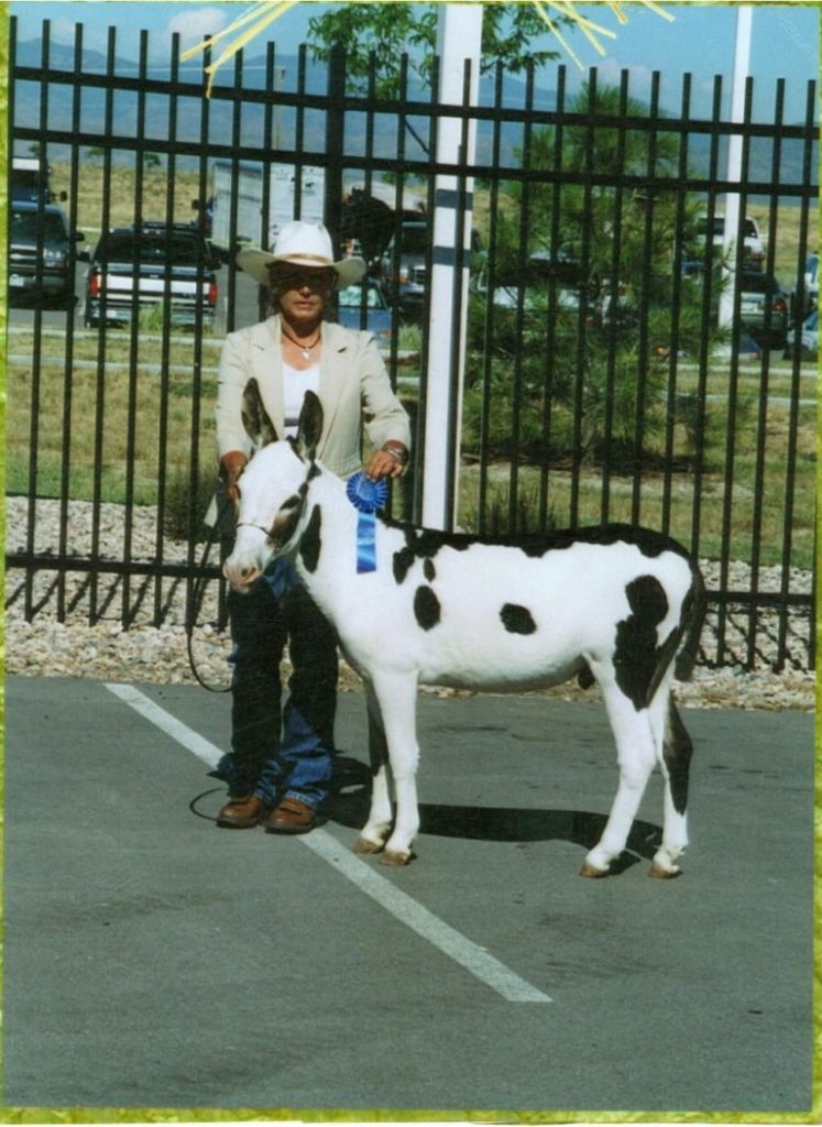 gusty-j-ranch-picture 3